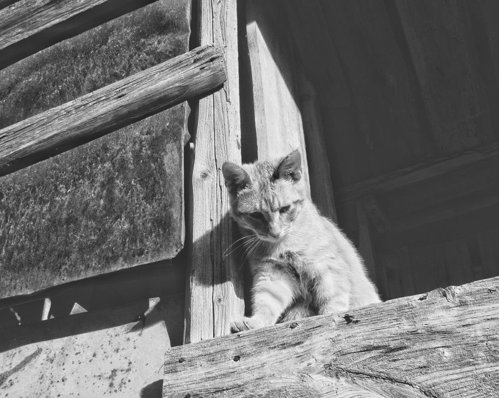 Photograph by Наталья Сафронова