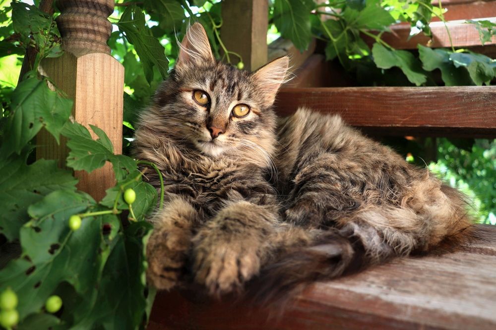 Photograph by Нина Чугунова