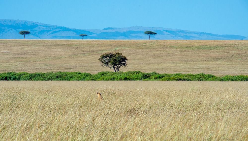 Фотография автора Sajeev Krishnan