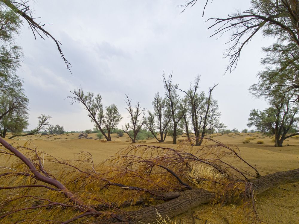 Photograph by AryoBarzan Garmsiri