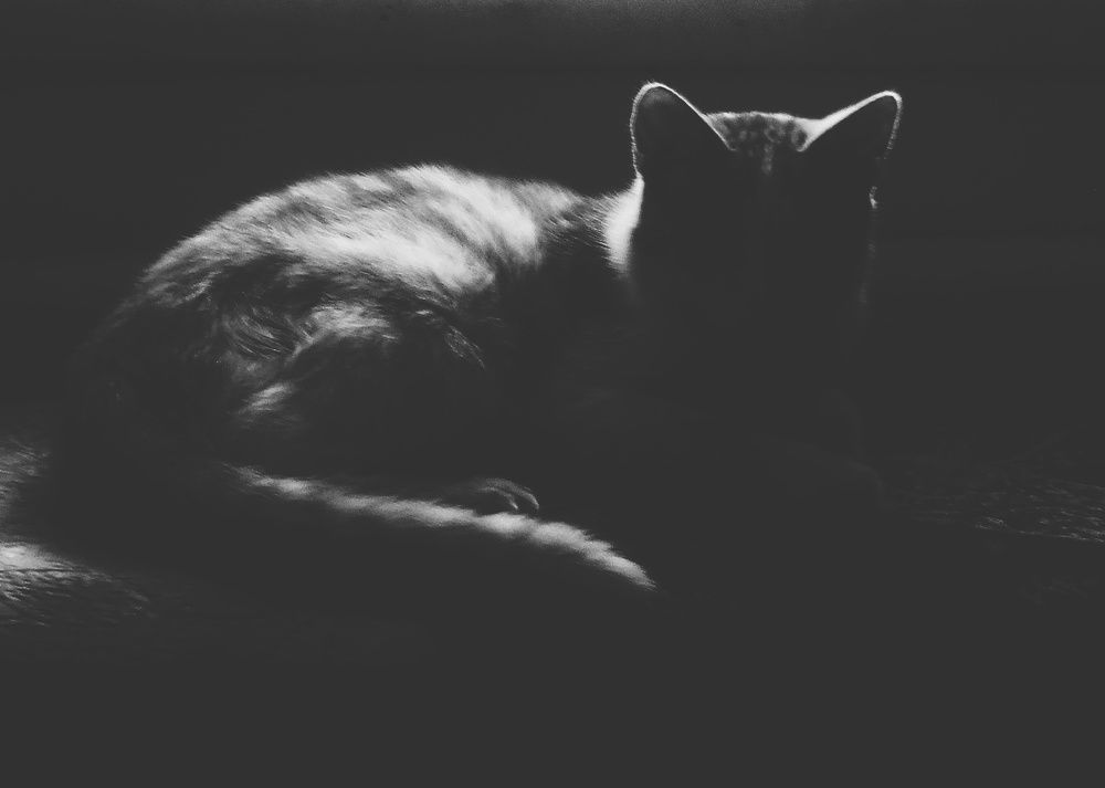 Photograph by Наталья Сафронова