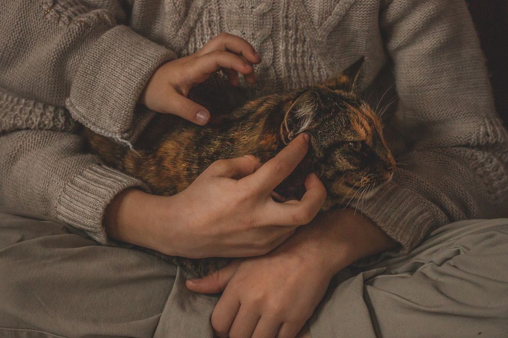 Photograph by Анастасия Павлик