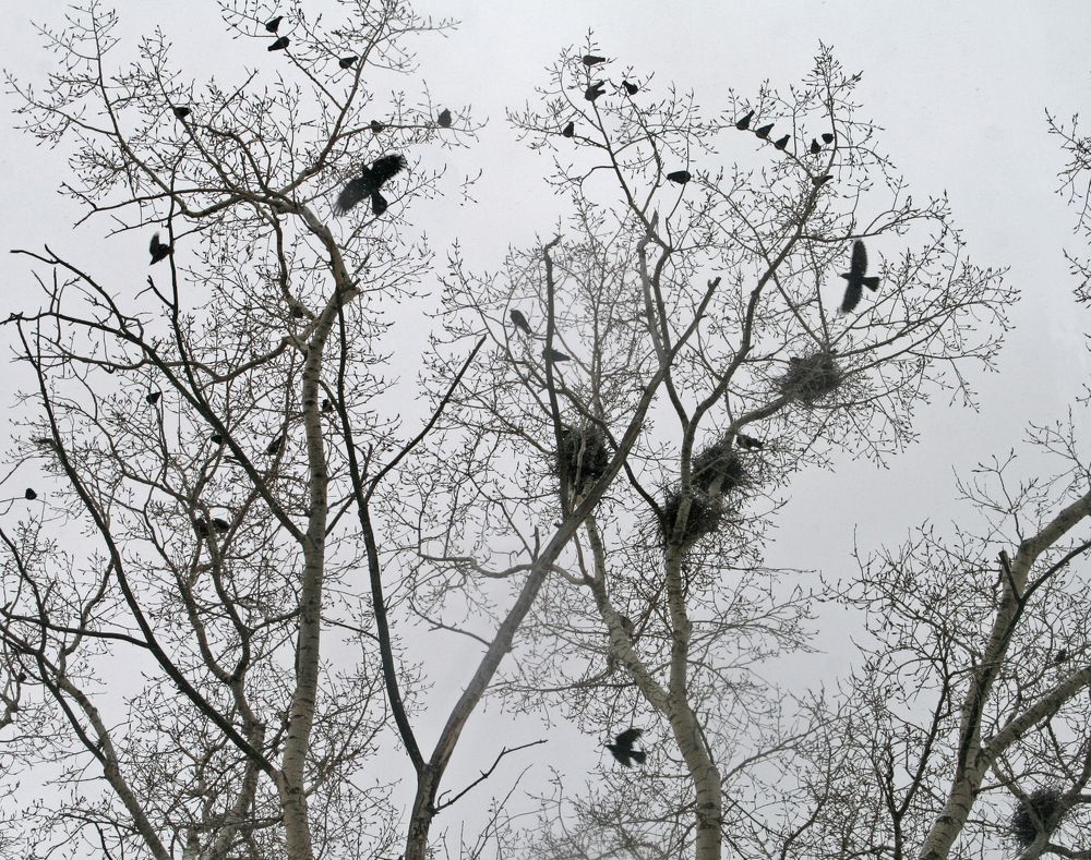 Photograph by Ирина Архипова