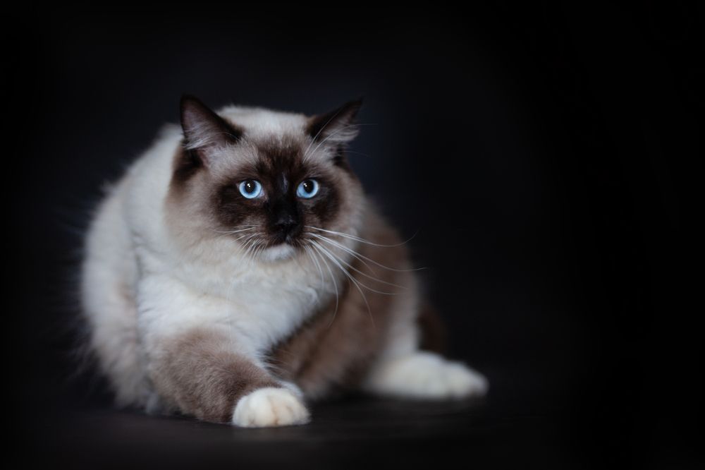 Photograph by Nikol Kopp