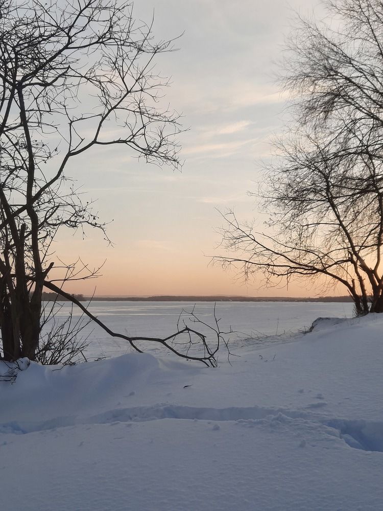 Photograph by Ольга