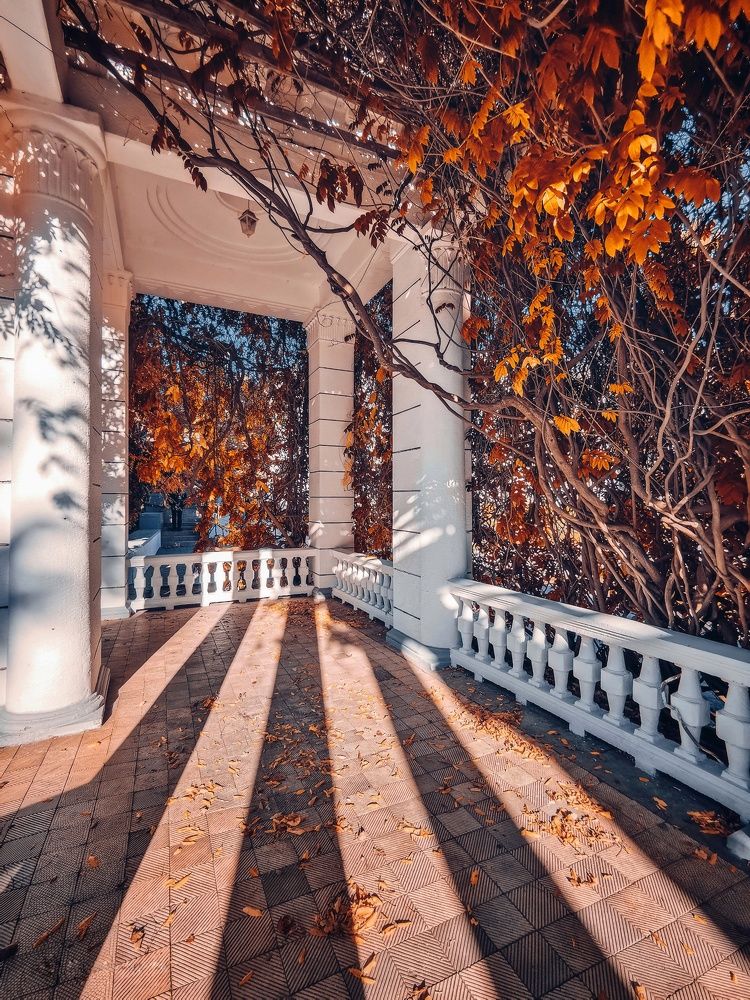 Photograph by Мария Цепилова