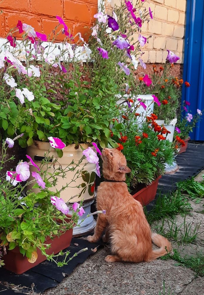 Photograph by Ольга