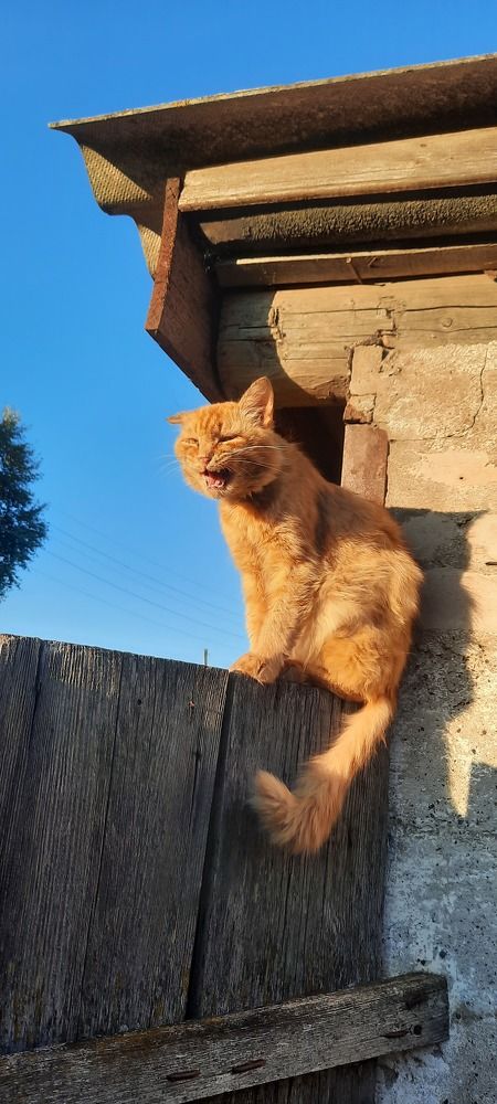 Photograph by Ольга