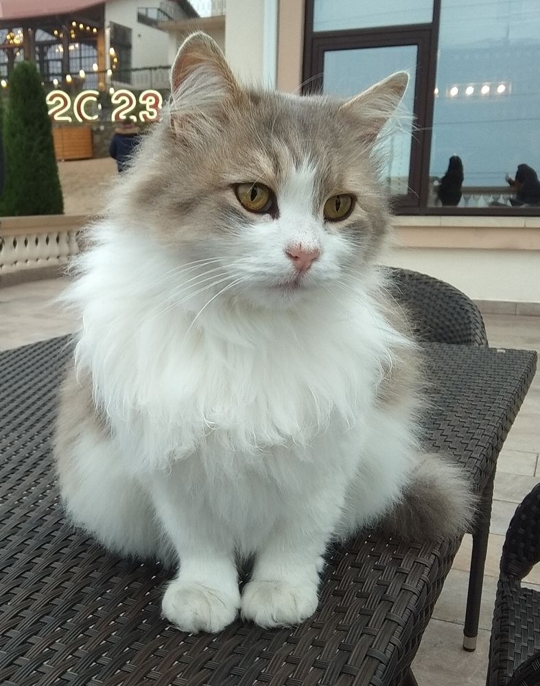 Photograph by Сергей Христинич