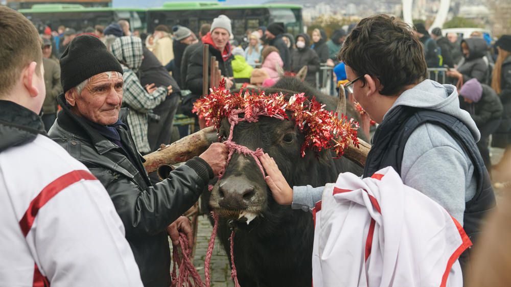 Photograph by Алексей Вайнман