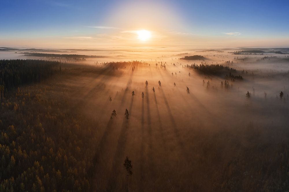 Photograph by Чехонин Александр