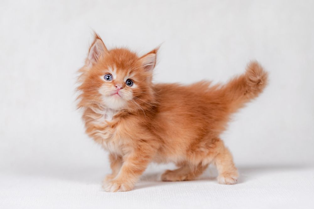 Photograph by Ирина Левакова