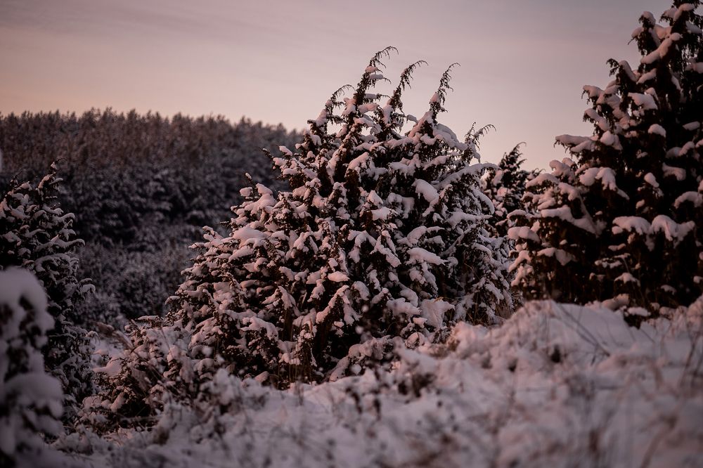 Photograph by Зульхиза Миндиахметова