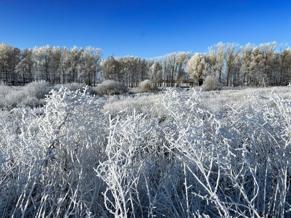 Photograph by Елена Сиушова