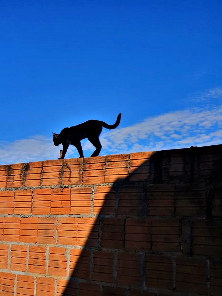 Photograph by Régis Santos