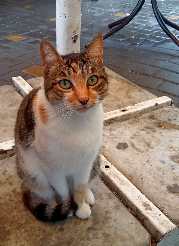 Photograph by Наталья Дубовкина