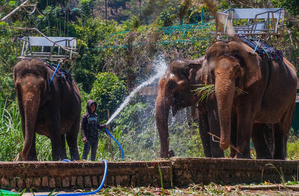 Водные процедуры