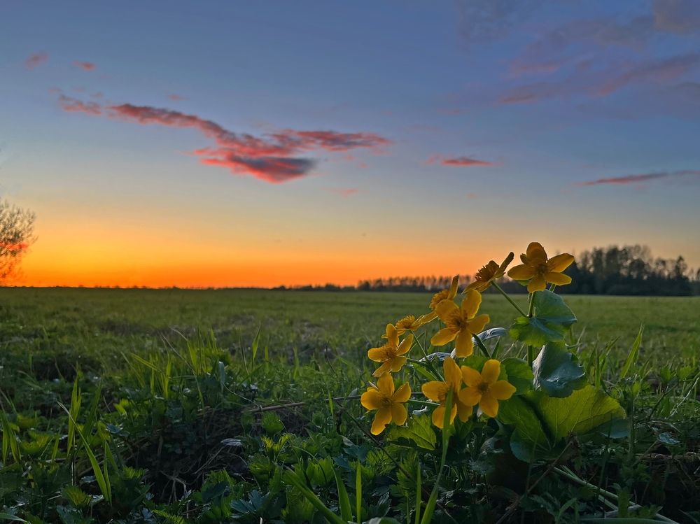 Photograph by Седельникова Юлия