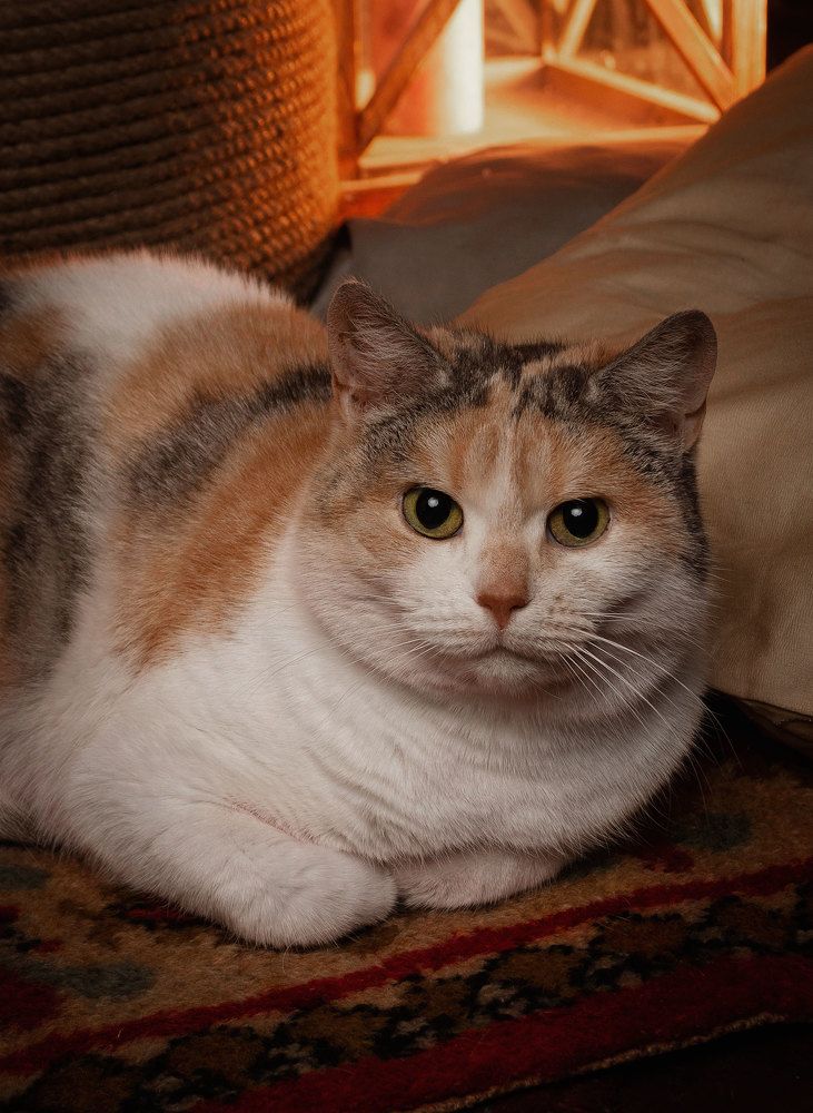 Photograph by Альфия