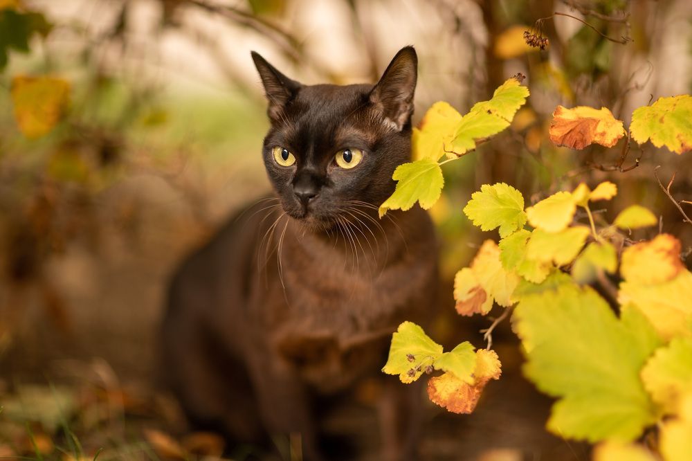 Photograph by Марина Шишкина