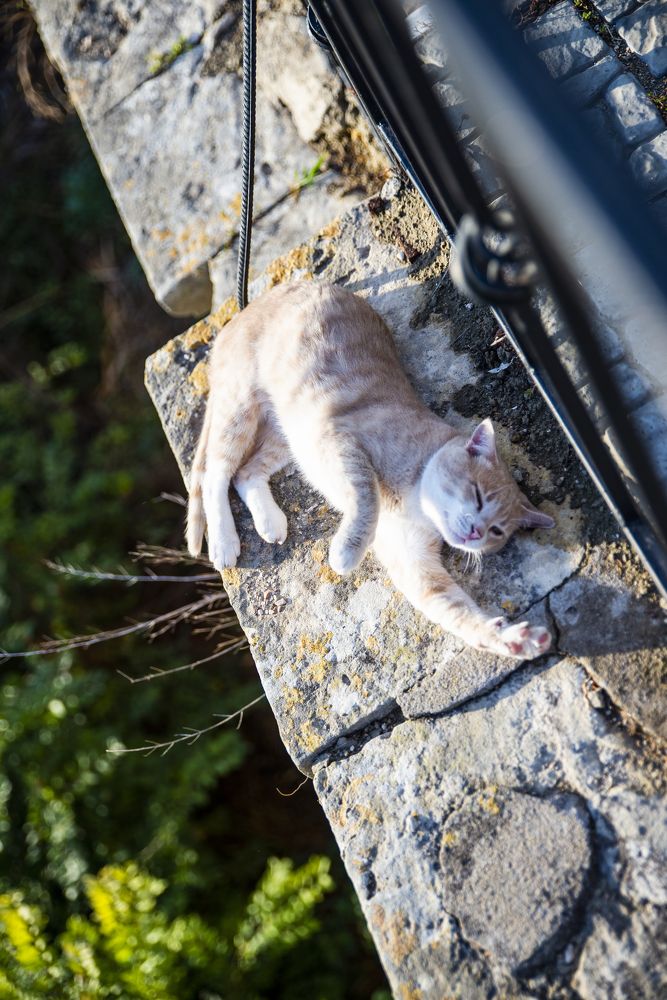 Photograph by Вадим Сташкевич