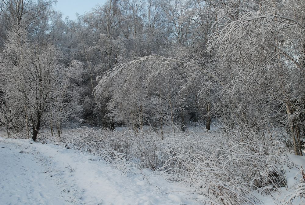 Photograph by Татьяна Ефашкина