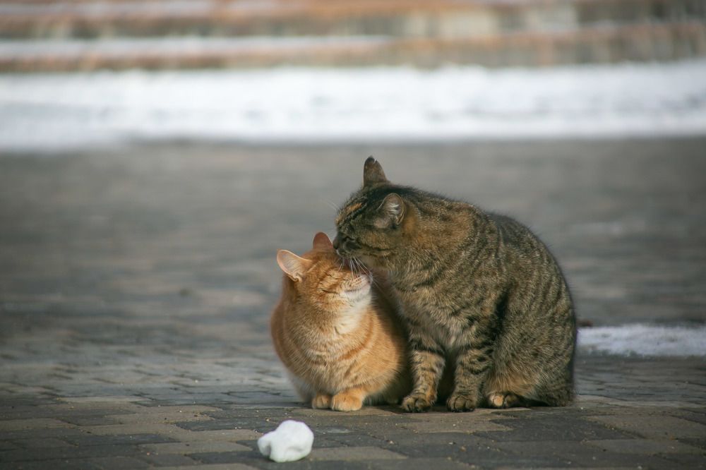 Photograph by Очева Наталья Александровна