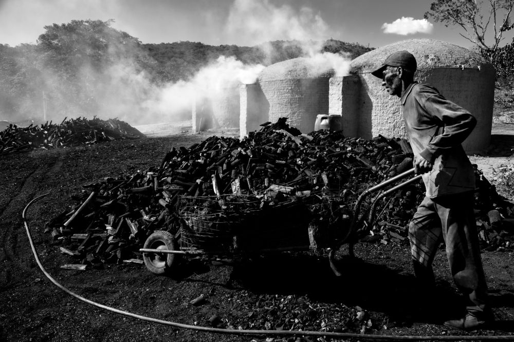 Photograph by FLAVIO SOUZA CRUZ