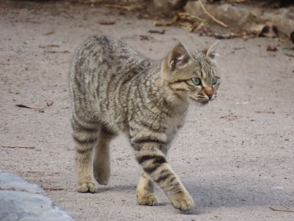 Photograph by mahboubeh moradalizadeh
