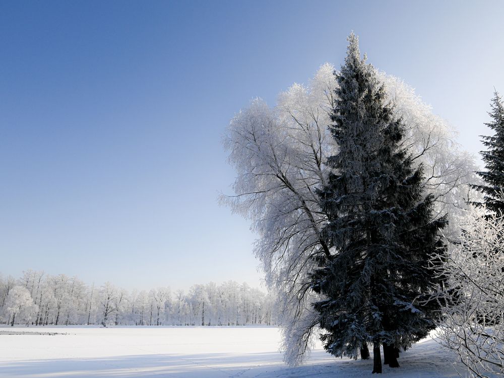 Photograph by Сергей Вальков