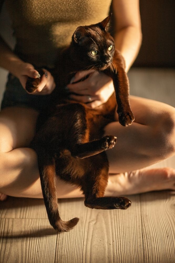 Photograph by Марина Шишкина