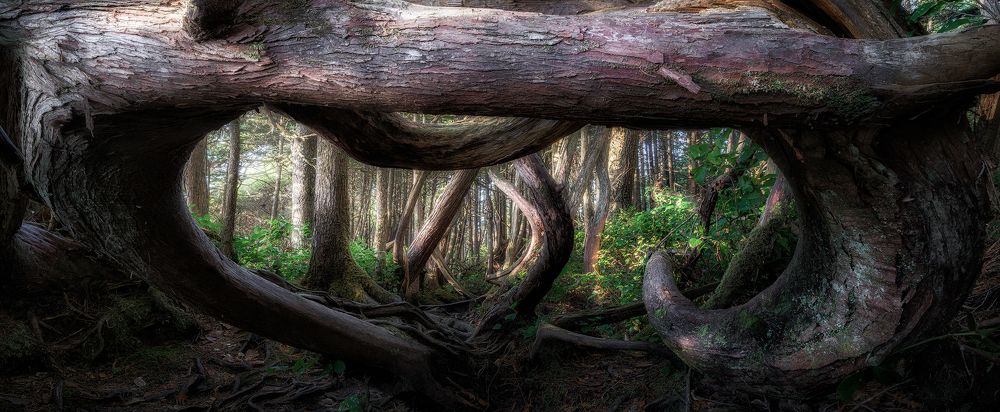 Photograph by Han Jinyi