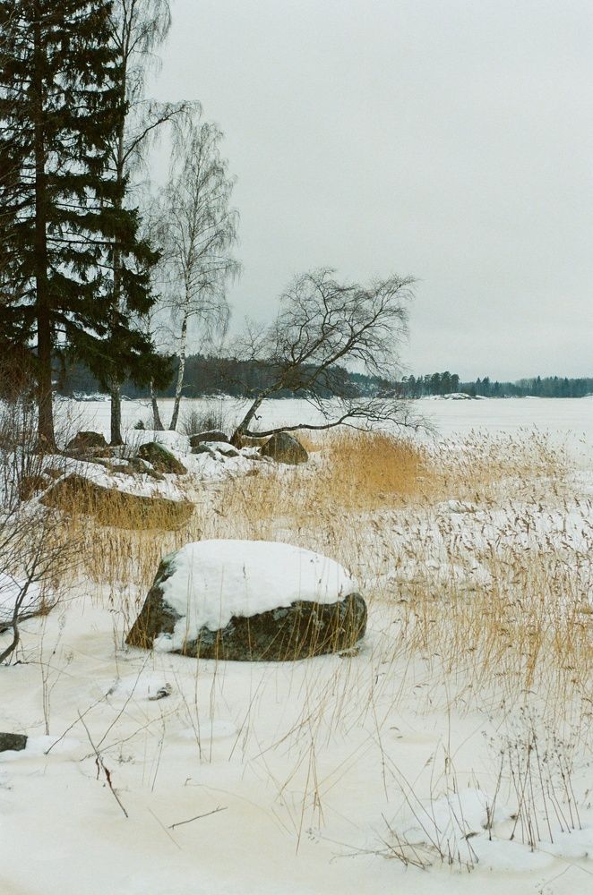 Photograph by Василий Селиванов