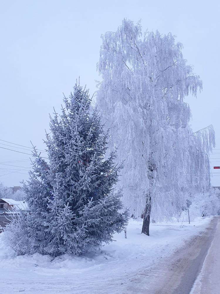 Photograph by Marina Tishina