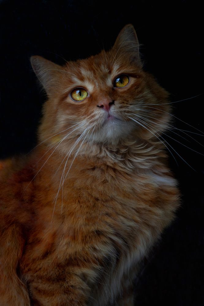 Photograph by Анастасия Сидоренко