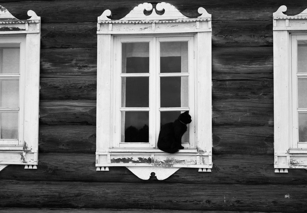 Photograph by Анастасия Сидоренко