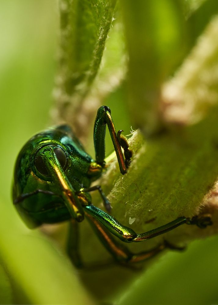 Photograph by Jose Vega