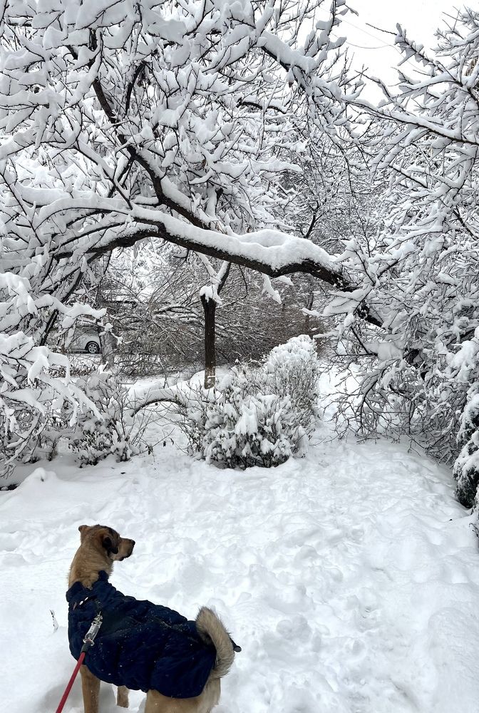 Photograph by Мария Кирсанова