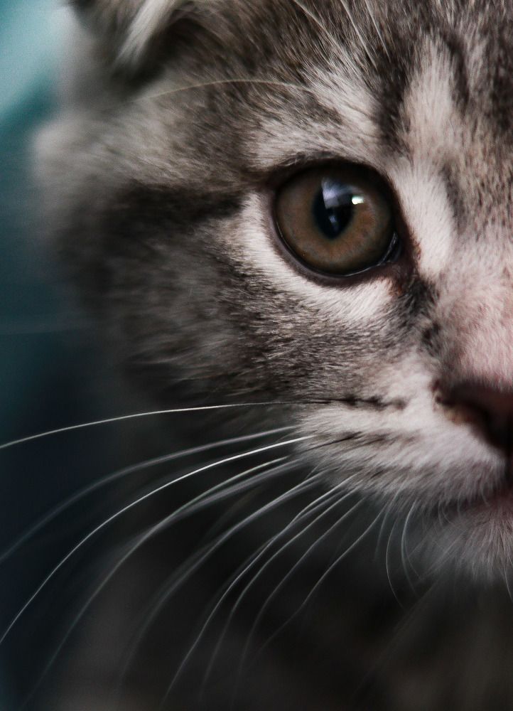 Photograph by Елена Илюхина