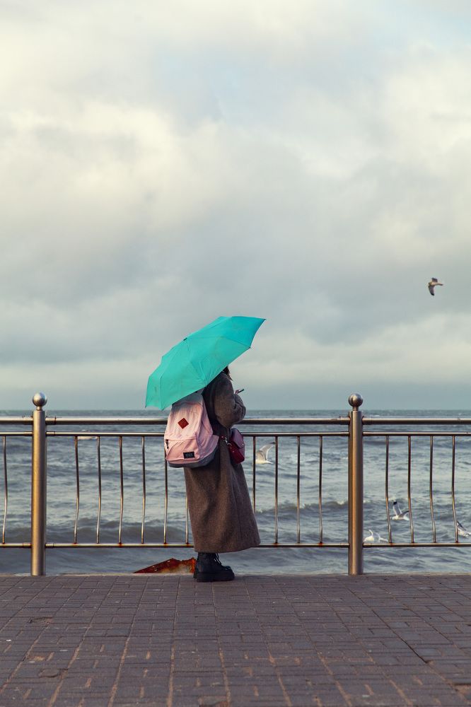 Фотография автора Виталий Новиков