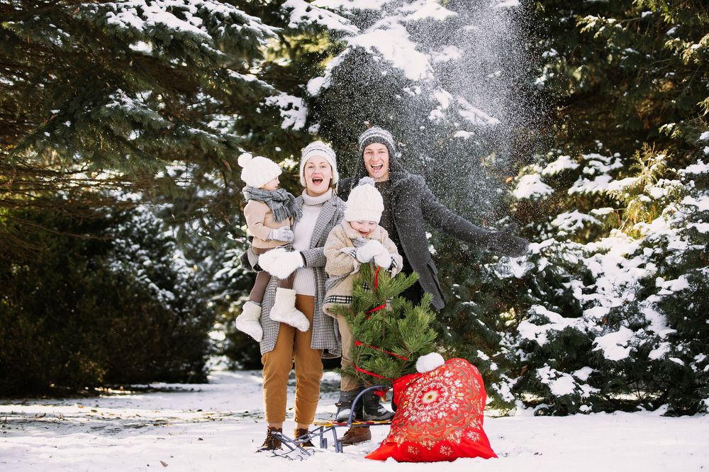 Photograph by Виктор Жулин