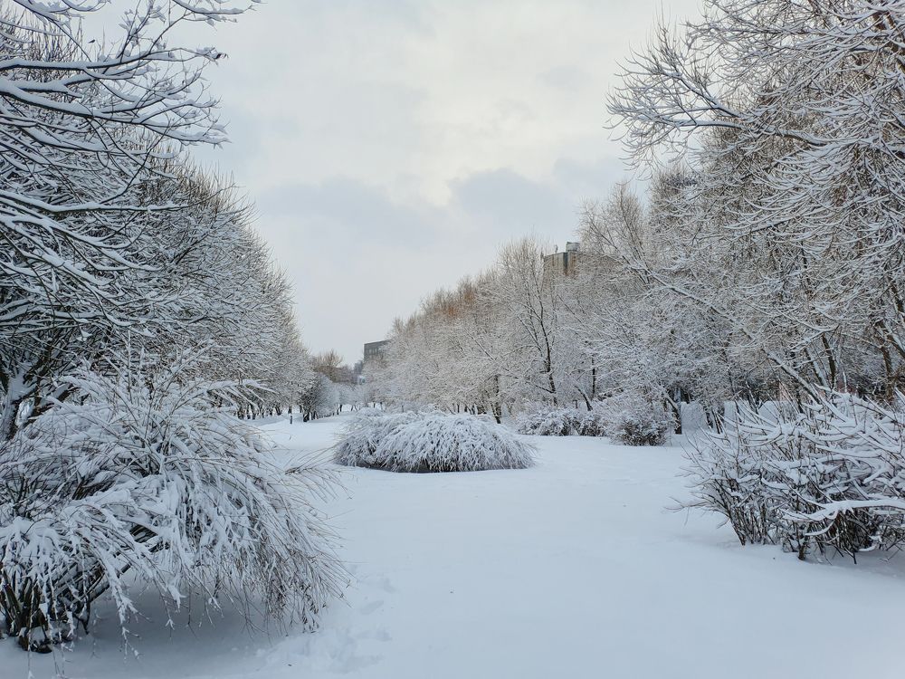 Фотография автора Анна Мисякова