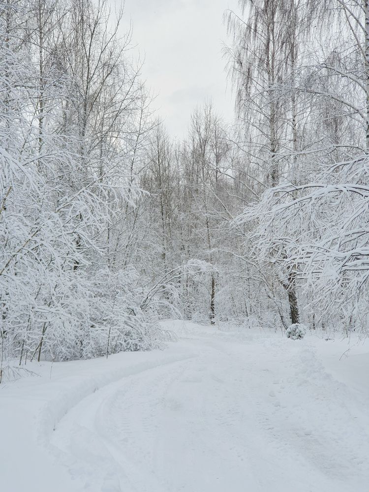 Фотография автора Анна Мисякова