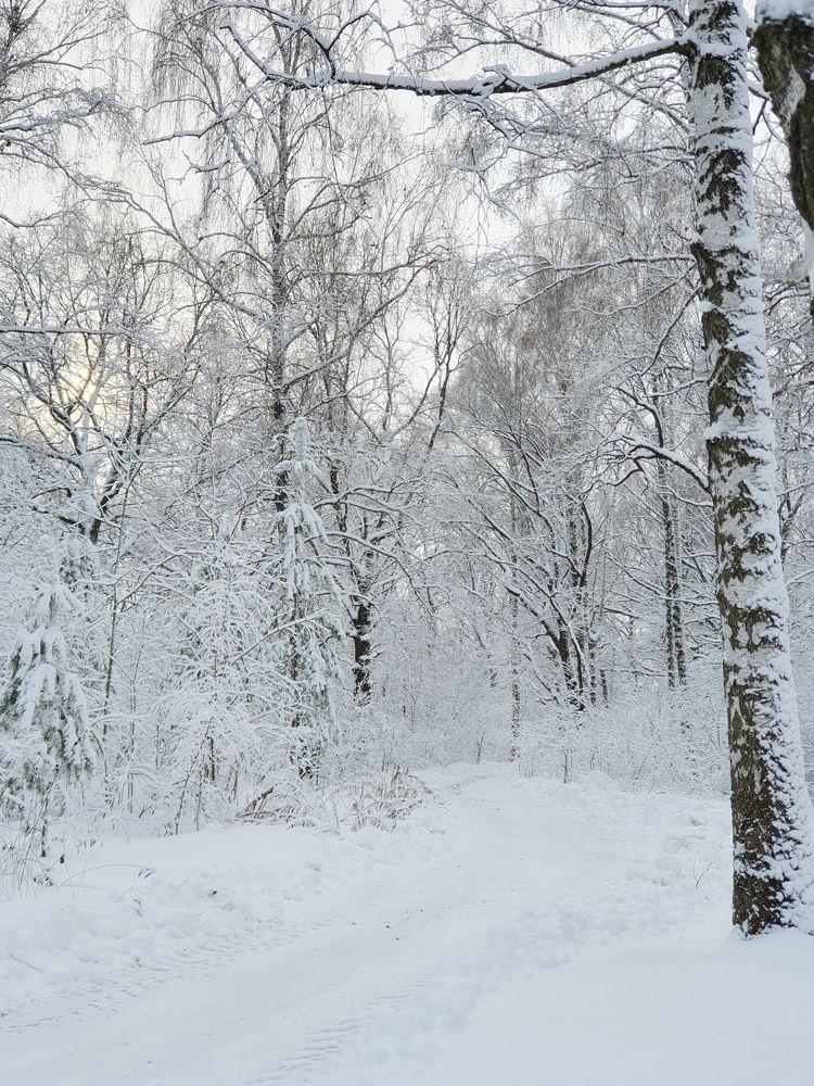 Фотография автора Анна Мисякова