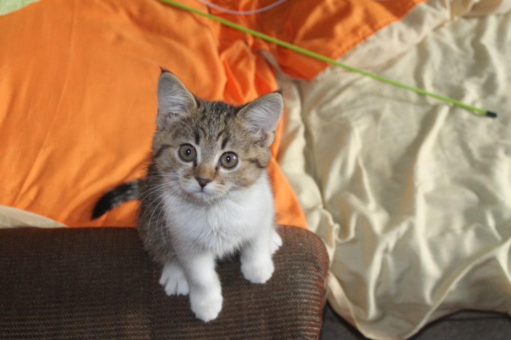 Photograph by Яна Цицилашвили