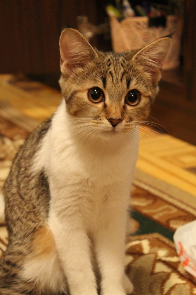 Photograph by Яна Цицилашвили