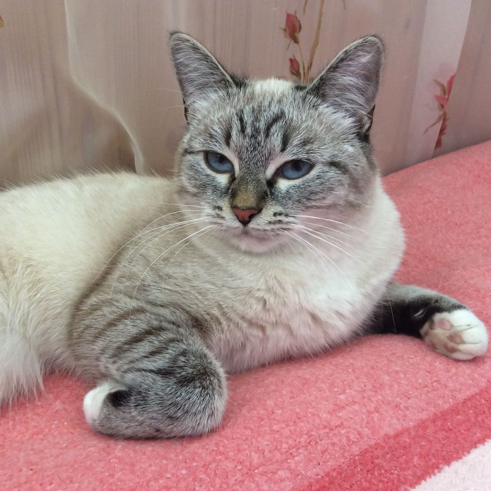 Photograph by Евгений Сергеев