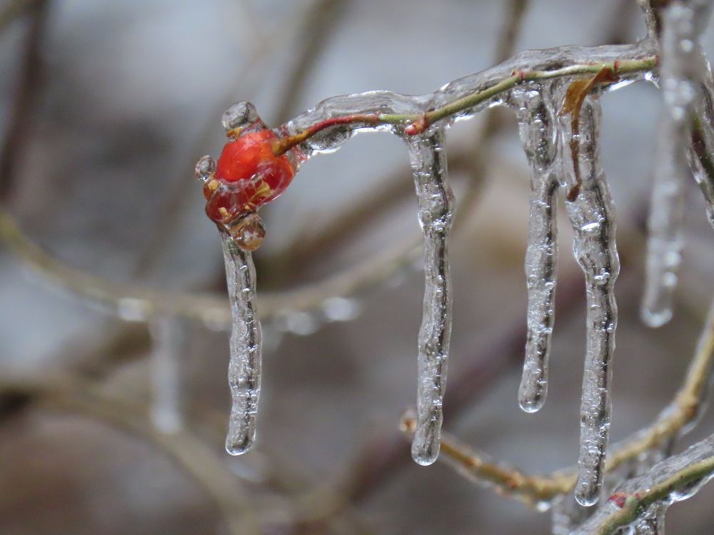 Photograph by mahboubeh moradalizadeh