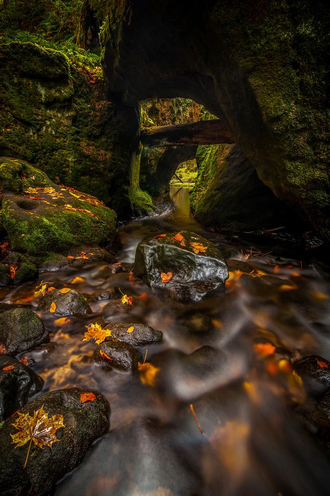 Photograph by Petr Musil