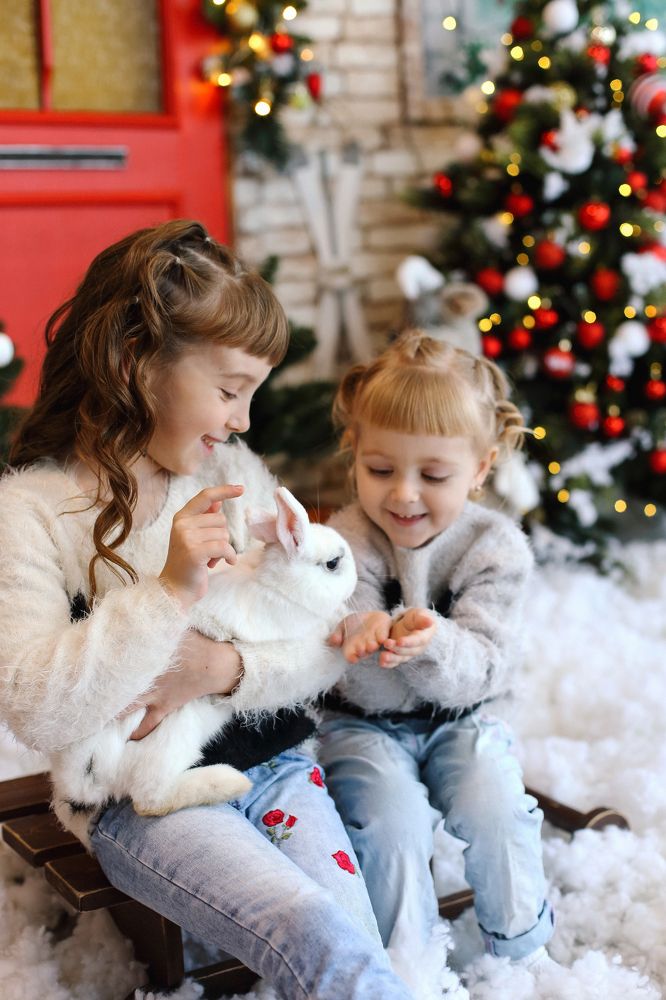 Фотография автора Наталия Евграфова